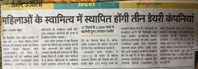 Kashee-News